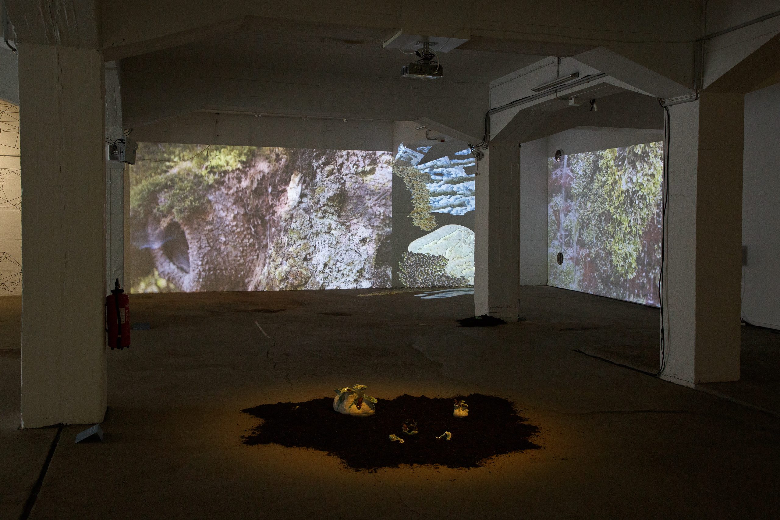 Marie Meister: Bodies of Water Marie-Luise Meister: Bodies of Water